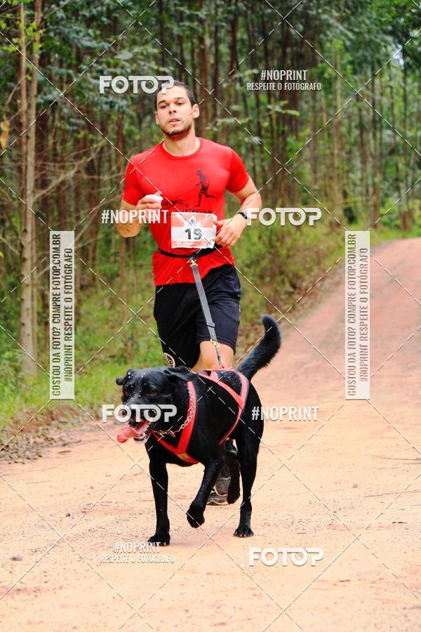 Buy your photos of the eventKaluan� Trail e Canicross - Irisphoto on Fotop