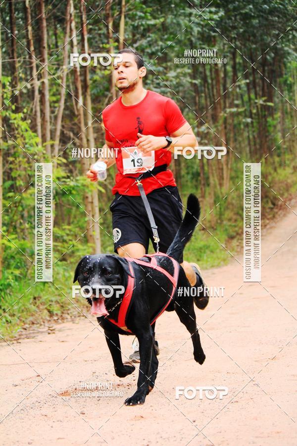 Buy your photos of the eventKaluan� Trail e Canicross - Irisphoto on Fotop