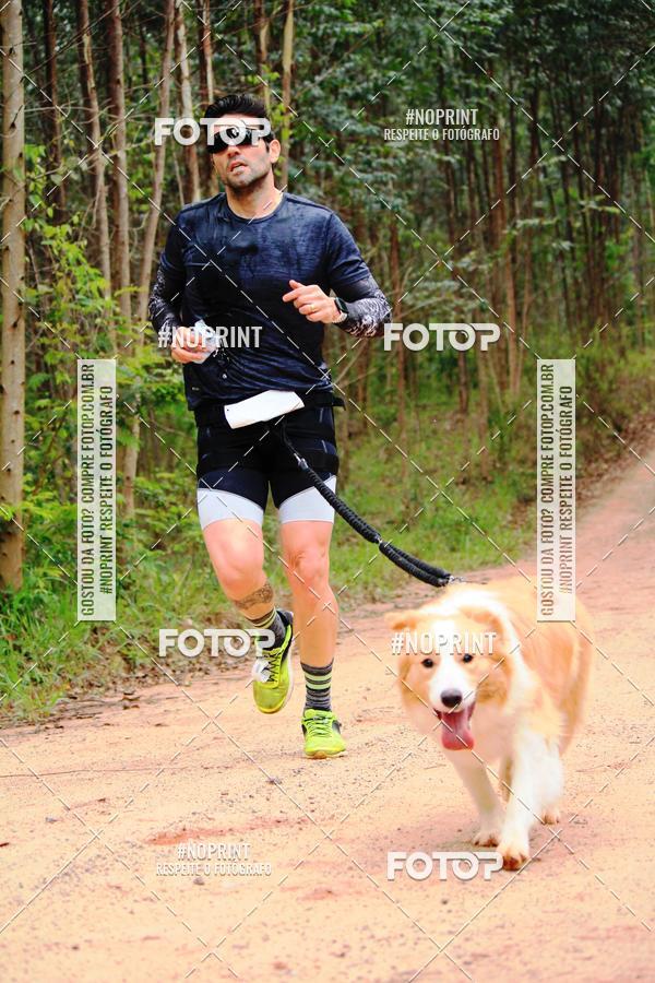 Buy your photos of the eventKaluan� Trail e Canicross - Irisphoto on Fotop