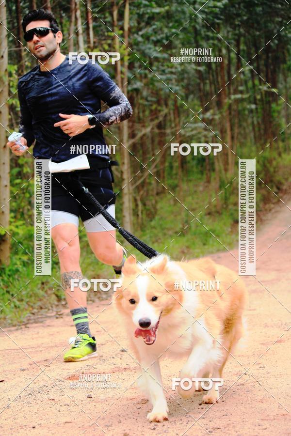 Buy your photos of the eventKaluan� Trail e Canicross - Irisphoto on Fotop