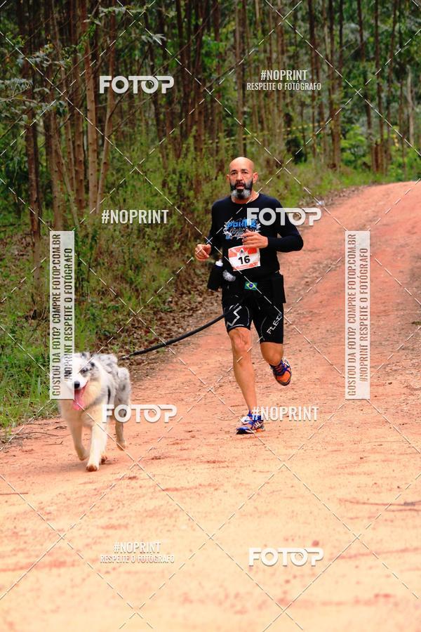 Buy your photos of the eventKaluan� Trail e Canicross - Irisphoto on Fotop