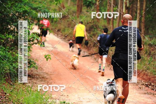 Buy your photos of the eventKaluan� Trail e Canicross - Irisphoto on Fotop