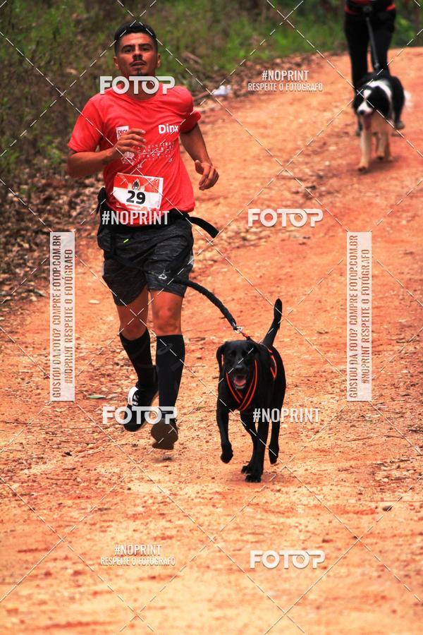 Buy your photos of the eventKaluan� Trail e Canicross - Irisphoto on Fotop