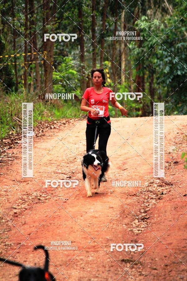 Buy your photos of the eventKaluan� Trail e Canicross - Irisphoto on Fotop