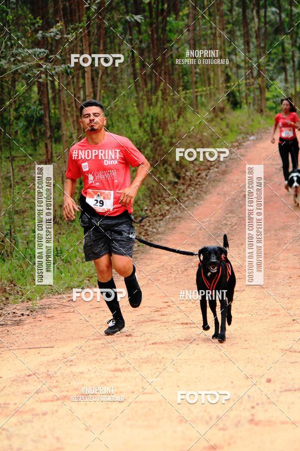 Buy your photos of the eventKaluan� Trail e Canicross - Irisphoto on Fotop