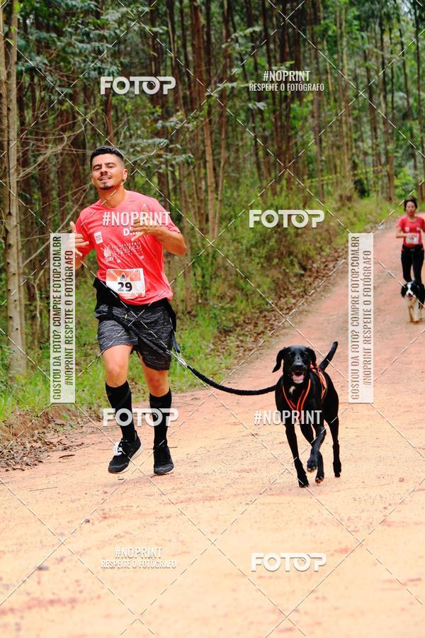 Buy your photos of the eventKaluan� Trail e Canicross - Irisphoto on Fotop