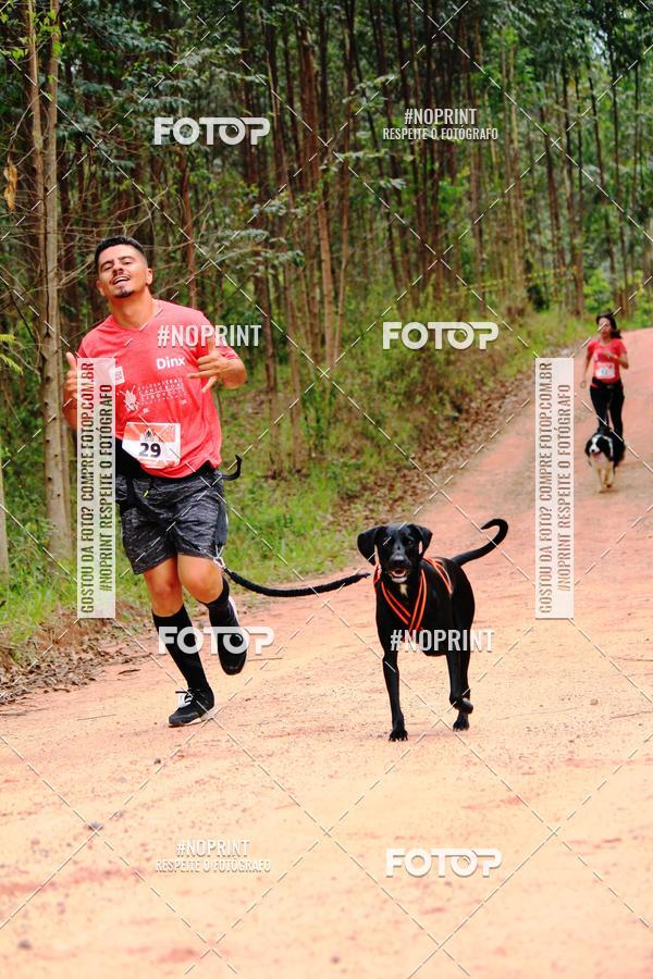 Buy your photos of the eventKaluan� Trail e Canicross - Irisphoto on Fotop