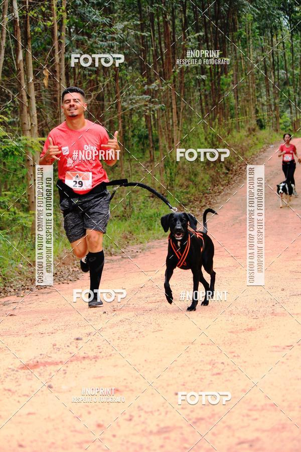 Buy your photos of the eventKaluan� Trail e Canicross - Irisphoto on Fotop