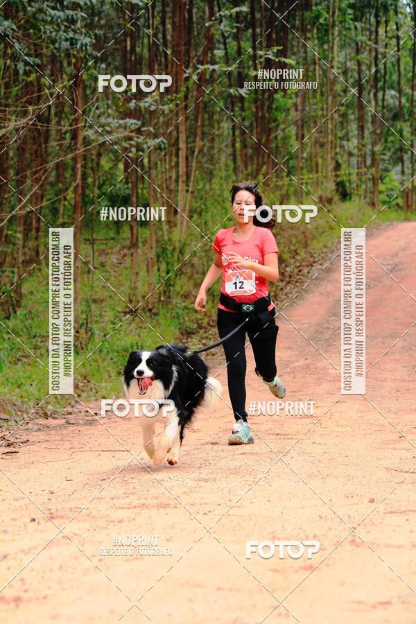 Buy your photos of the eventKaluan� Trail e Canicross - Irisphoto on Fotop