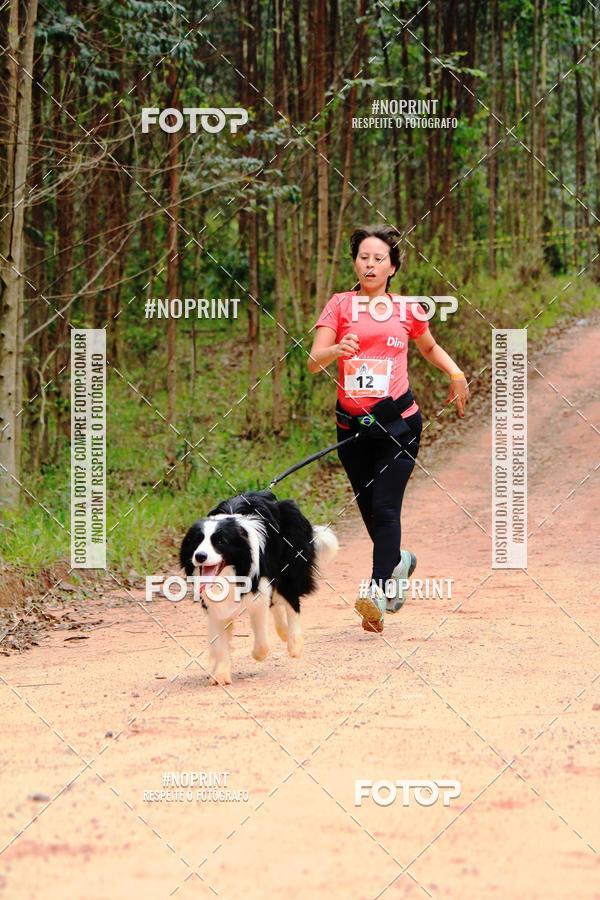 Buy your photos of the eventKaluan� Trail e Canicross - Irisphoto on Fotop