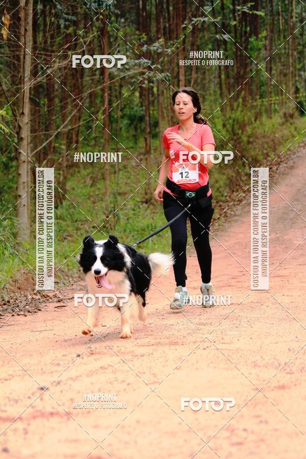 Buy your photos of the eventKaluan� Trail e Canicross - Irisphoto on Fotop