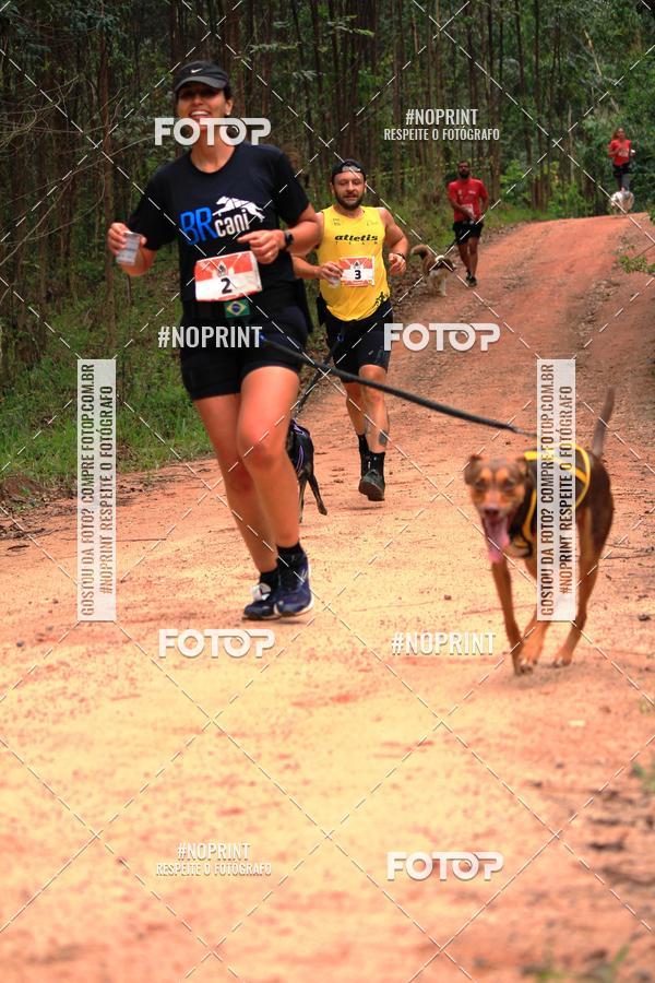 Buy your photos of the eventKaluan� Trail e Canicross - Irisphoto on Fotop