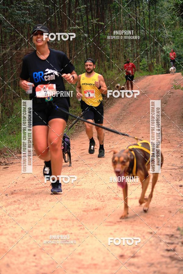 Buy your photos of the eventKaluan� Trail e Canicross - Irisphoto on Fotop