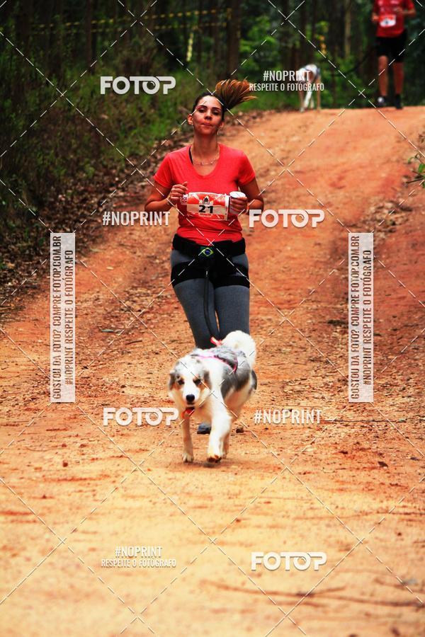 Buy your photos of the eventKaluan� Trail e Canicross - Irisphoto on Fotop