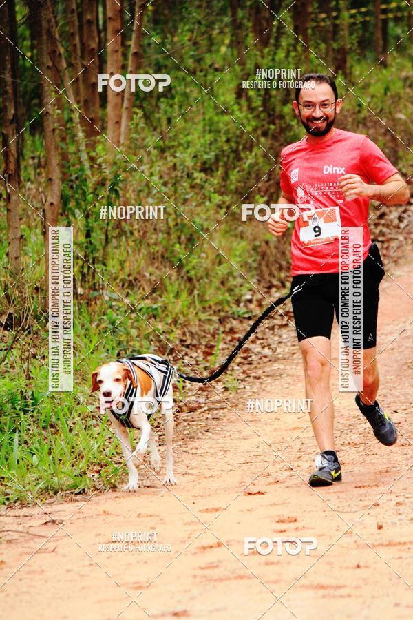 Buy your photos of the eventKaluan� Trail e Canicross - Irisphoto on Fotop