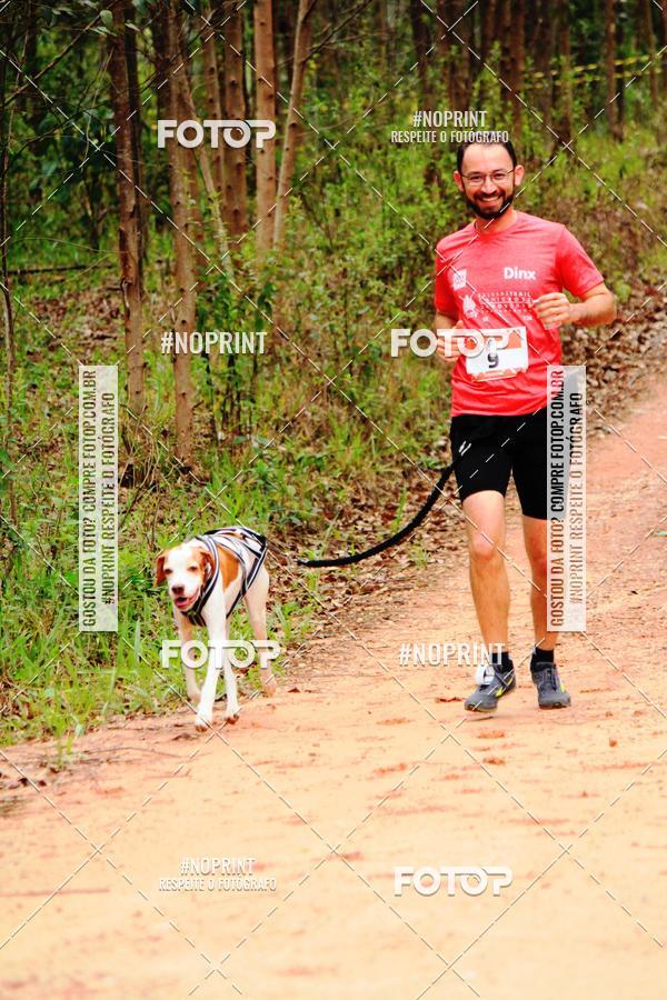 Buy your photos of the eventKaluan� Trail e Canicross - Irisphoto on Fotop