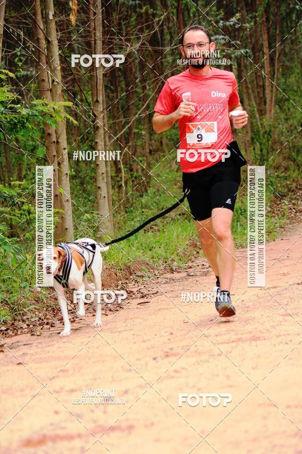 Buy your photos of the eventKaluan� Trail e Canicross - Irisphoto on Fotop