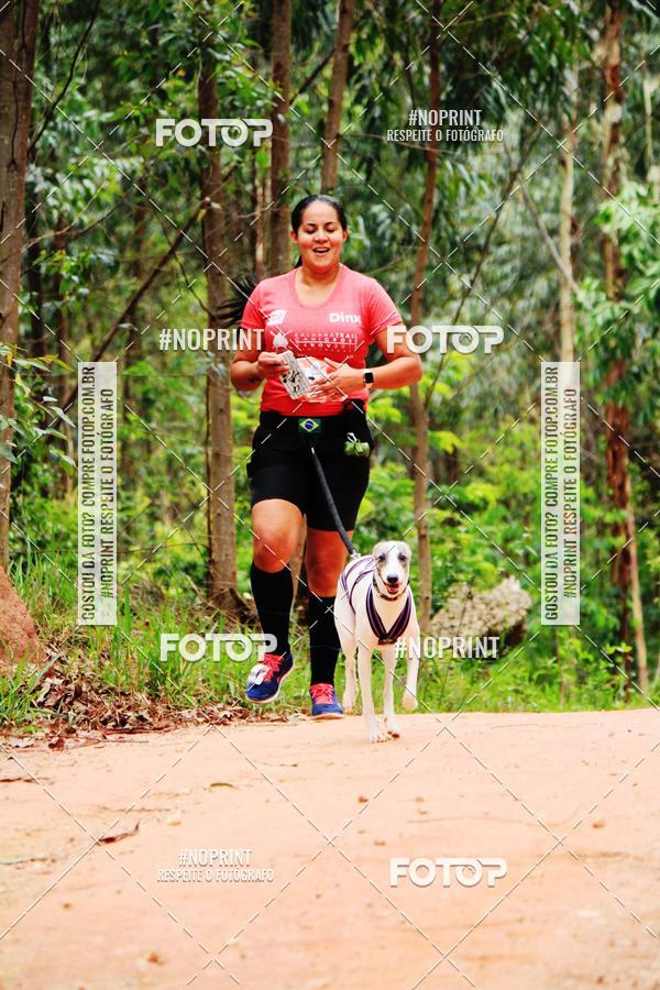 Buy your photos of the eventKaluan� Trail e Canicross - Irisphoto on Fotop