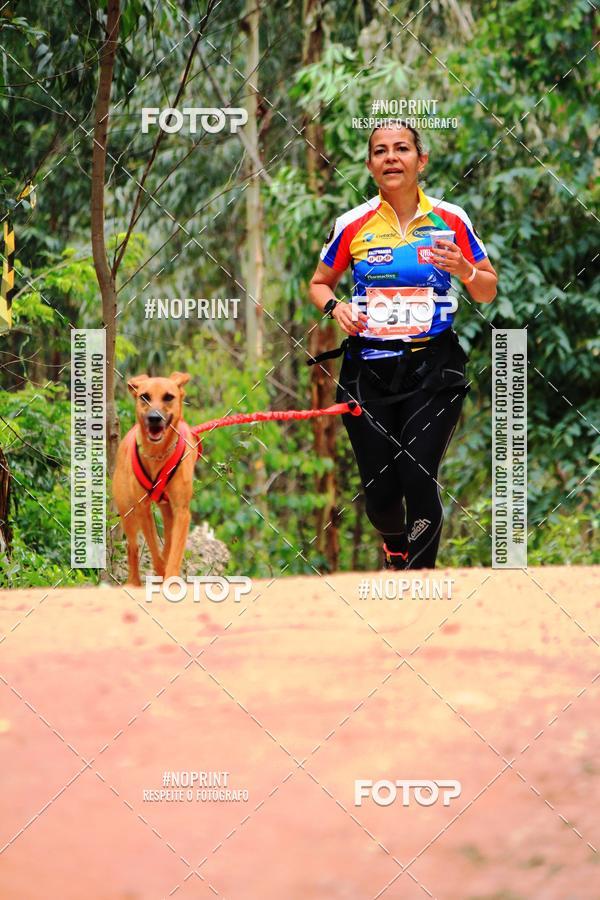 Buy your photos of the eventKaluan� Trail e Canicross - Irisphoto on Fotop