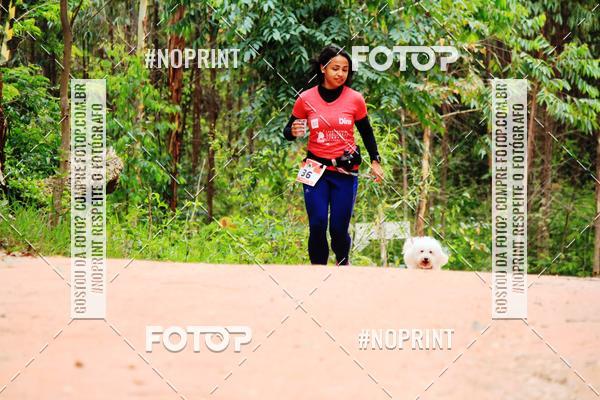 Buy your photos of the eventKaluan� Trail e Canicross - Irisphoto on Fotop