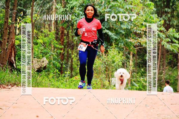 Buy your photos of the eventKaluan� Trail e Canicross - Irisphoto on Fotop