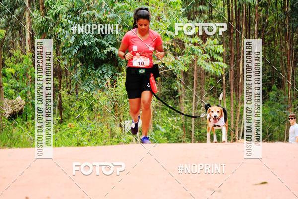 Buy your photos of the eventKaluan� Trail e Canicross - Irisphoto on Fotop