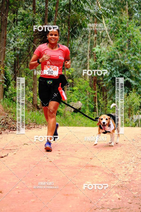 Buy your photos of the eventKaluan� Trail e Canicross - Irisphoto on Fotop