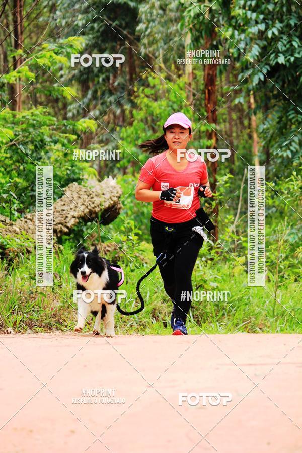 Acquista le foto dell'eventoKaluan� Trail e Canicross - Irisphoto in Fotop