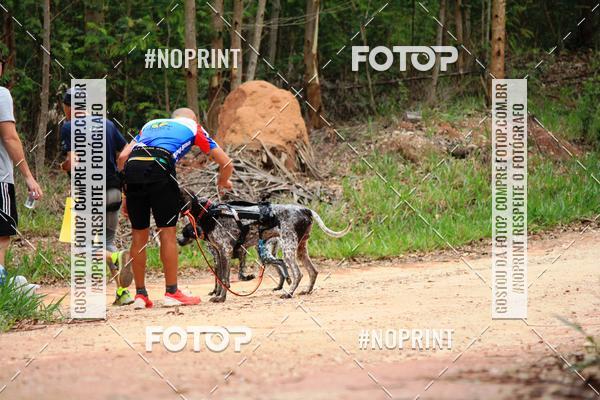 Acquista le foto dell'eventoKaluan� Trail e Canicross - Irisphoto in Fotop