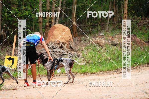 Acquista le foto dell'eventoKaluan� Trail e Canicross - Irisphoto in Fotop