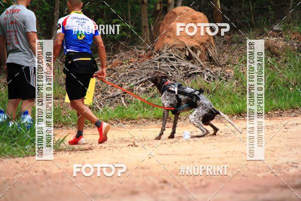 Acquista le foto dell'eventoKaluan� Trail e Canicross - Irisphoto in Fotop