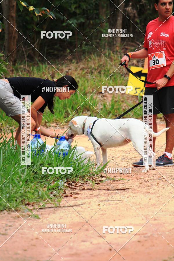 Acquista le foto dell'eventoKaluan� Trail e Canicross - Irisphoto in Fotop