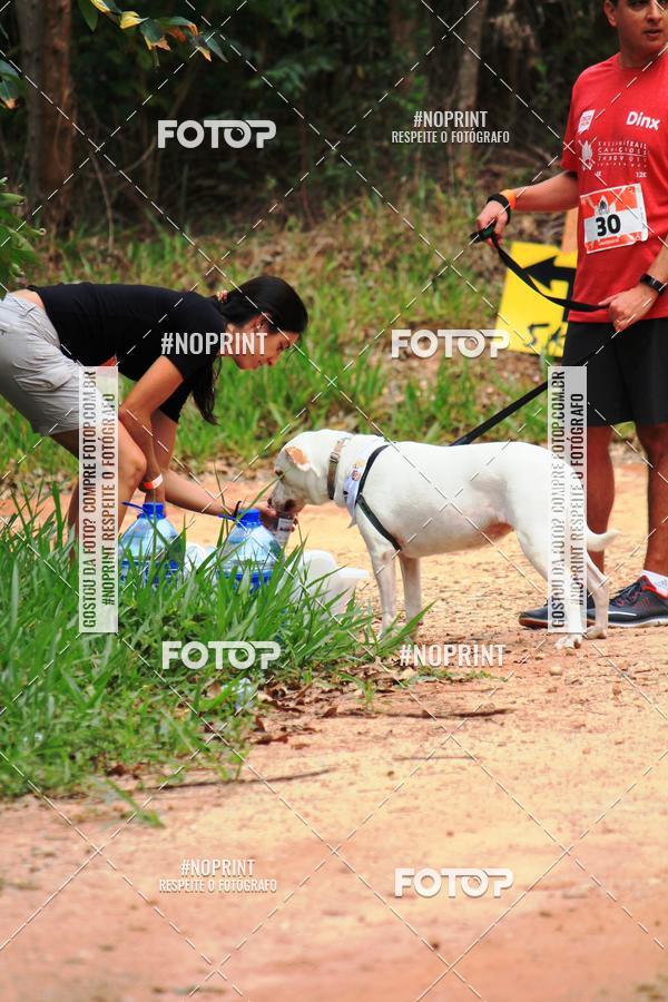 Acquista le foto dell'eventoKaluan� Trail e Canicross - Irisphoto in Fotop