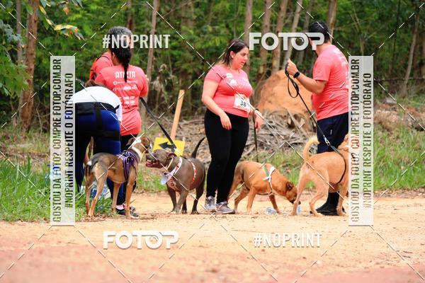 Acquista le foto dell'eventoKaluan� Trail e Canicross - Irisphoto in Fotop