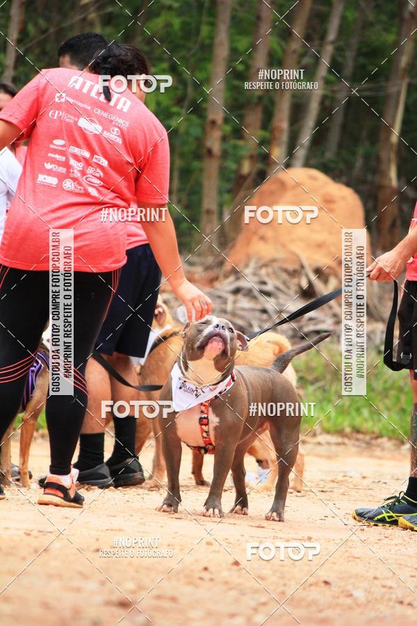 Acquista le foto dell'eventoKaluan� Trail e Canicross - Irisphoto in Fotop