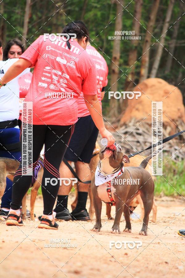 Acquista le foto dell'eventoKaluan� Trail e Canicross - Irisphoto in Fotop