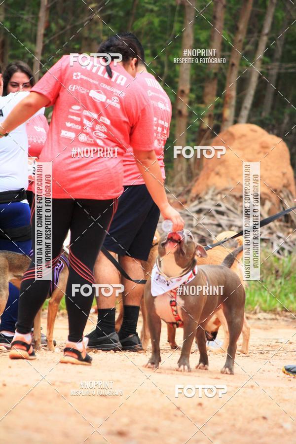 Acquista le foto dell'eventoKaluan� Trail e Canicross - Irisphoto in Fotop