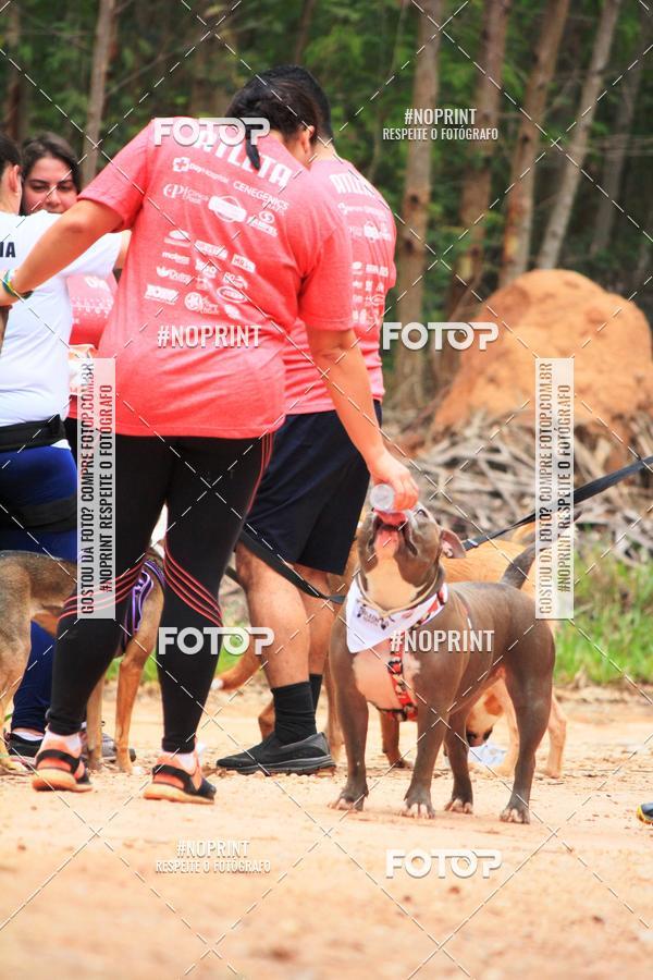 Acquista le foto dell'eventoKaluan� Trail e Canicross - Irisphoto in Fotop