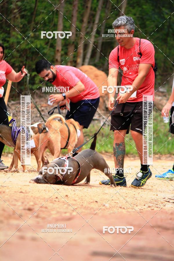 Acquista le foto dell'eventoKaluan� Trail e Canicross - Irisphoto in Fotop