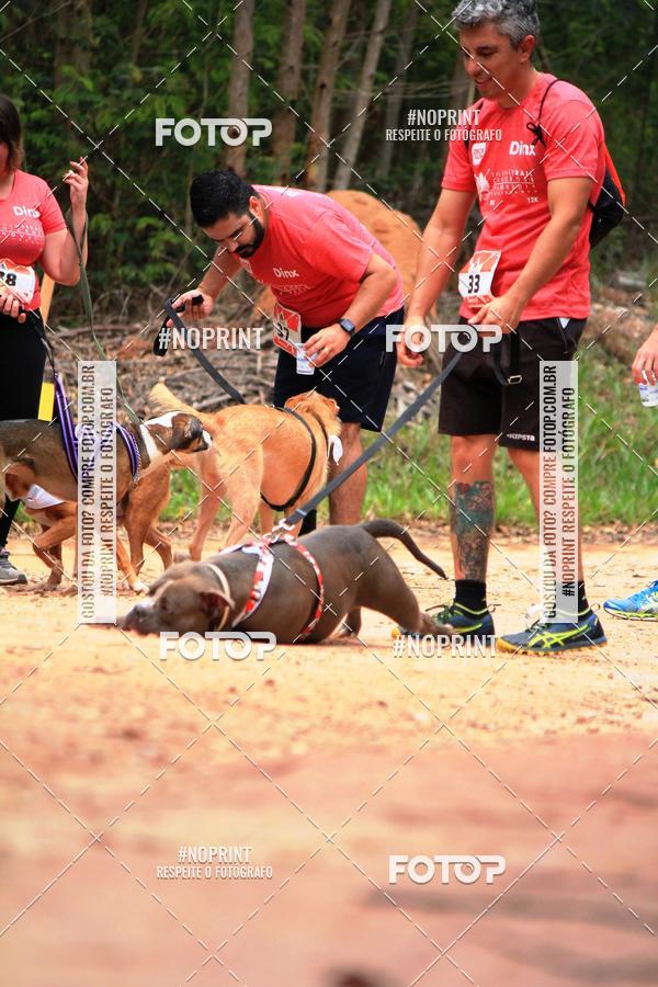 Acquista le foto dell'eventoKaluan� Trail e Canicross - Irisphoto in Fotop