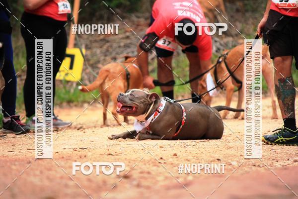 Acquista le foto dell'eventoKaluan� Trail e Canicross - Irisphoto in Fotop