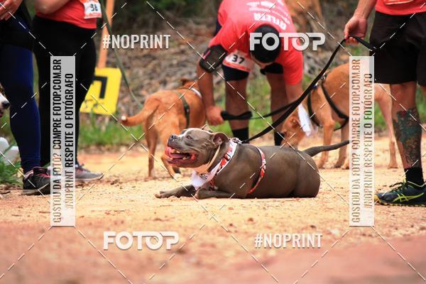 Acquista le foto dell'eventoKaluan� Trail e Canicross - Irisphoto in Fotop