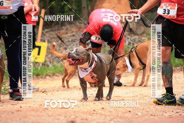 Acquista le foto dell'eventoKaluan� Trail e Canicross - Irisphoto in Fotop