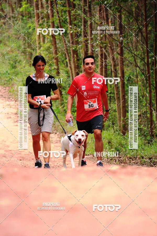 Acquista le foto dell'eventoKaluan� Trail e Canicross - Irisphoto in Fotop