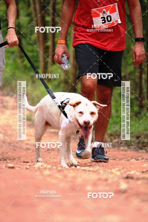 Acquista le foto dell'eventoKaluan� Trail e Canicross - Irisphoto in Fotop