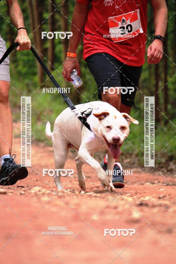 Acquista le foto dell'eventoKaluan� Trail e Canicross - Irisphoto in Fotop