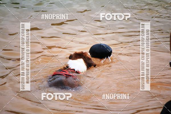 Acquista le foto dell'eventoKaluan� Trail e Canicross - Irisphoto in Fotop