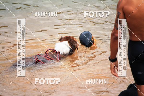 Acquista le foto dell'eventoKaluan� Trail e Canicross - Irisphoto in Fotop