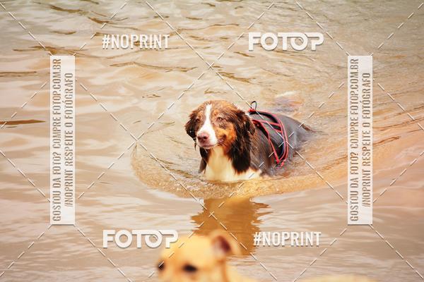 Acquista le foto dell'eventoKaluan� Trail e Canicross - Irisphoto in Fotop