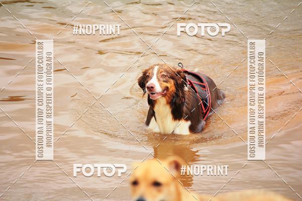 Acquista le foto dell'eventoKaluan� Trail e Canicross - Irisphoto in Fotop